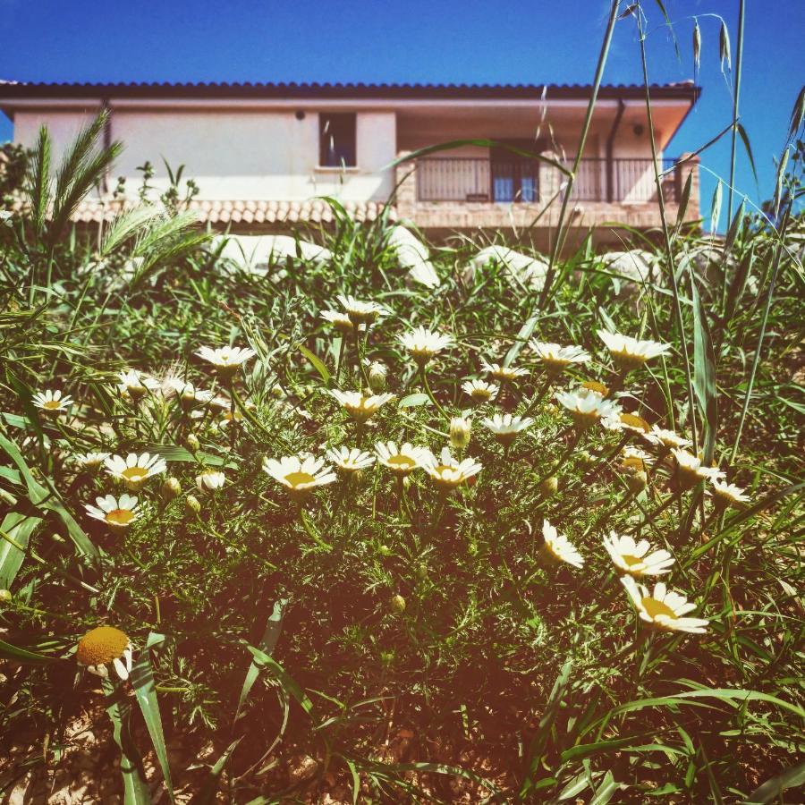 Casale Del Sole Bed and Breakfast Cepagatti Εξωτερικό φωτογραφία