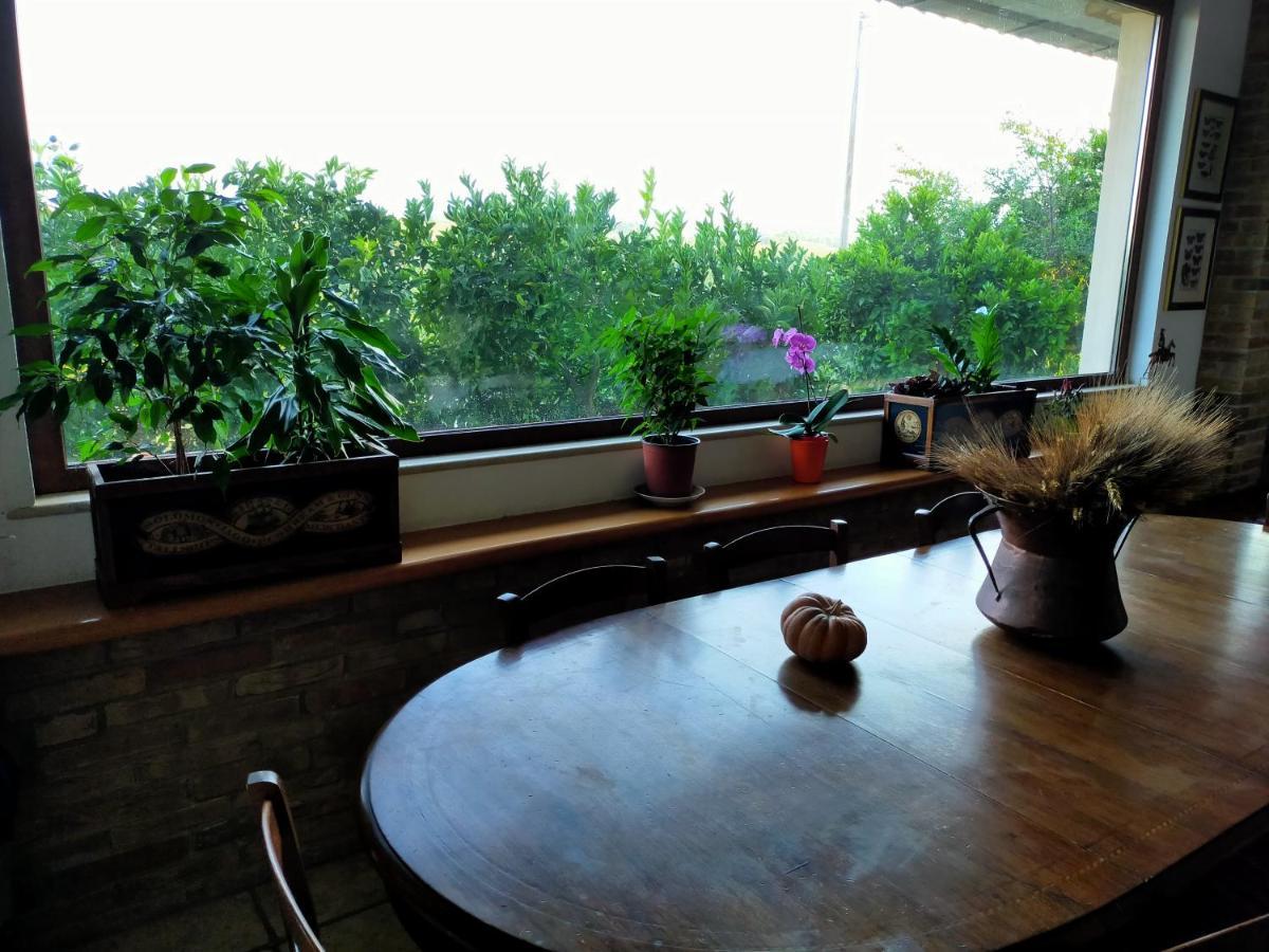 Casale Del Sole Bed and Breakfast Cepagatti Εξωτερικό φωτογραφία