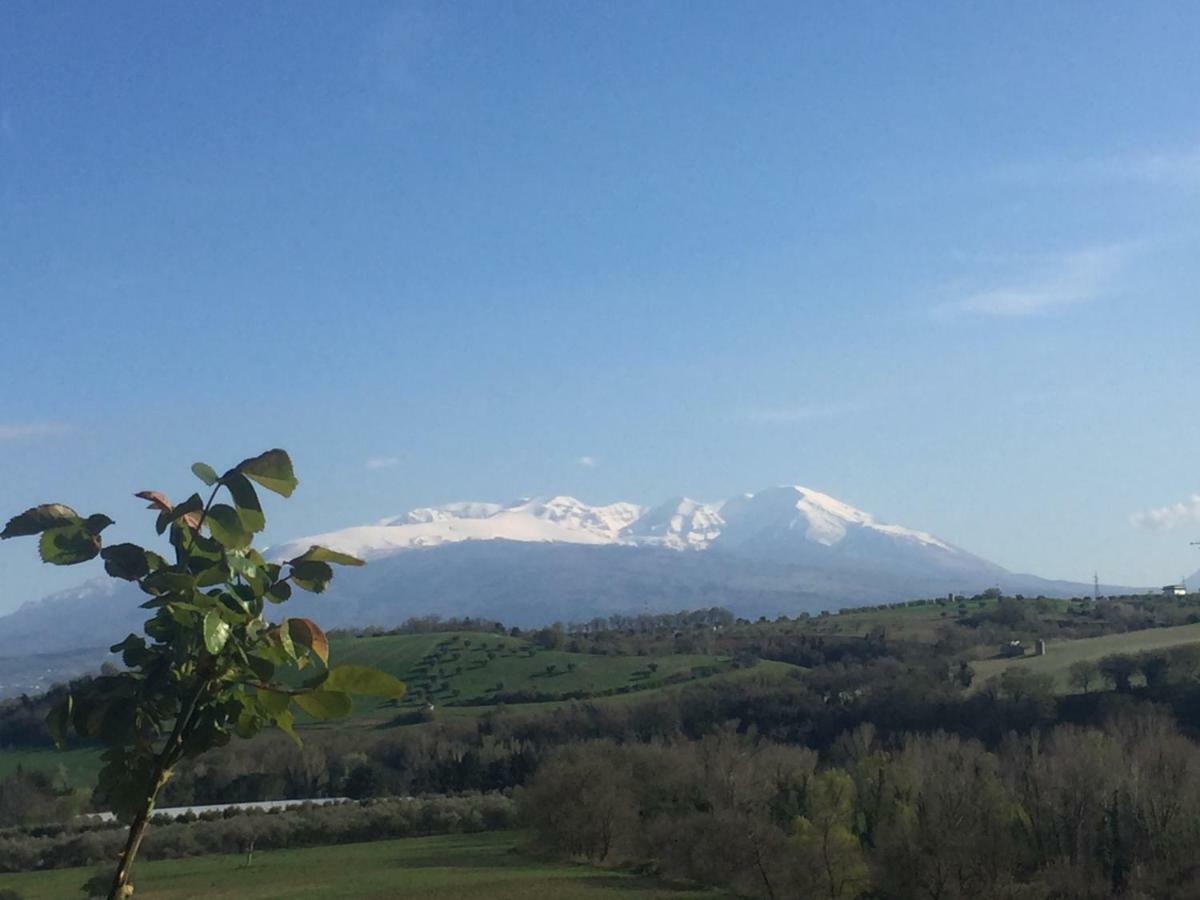 Casale Del Sole Bed and Breakfast Cepagatti Εξωτερικό φωτογραφία